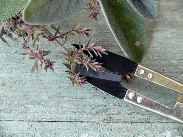 Kräuter- & Blütenschnipser, Metall